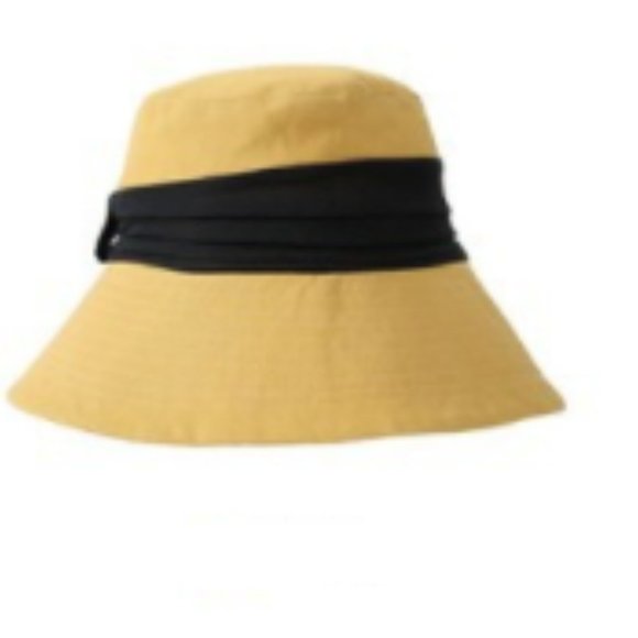 PHLODINCA - Picture 7 of 8